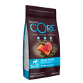 Wellness Core Xira trofi Skulou Adult Medium-Large Breed Solomos & Tonos 10kg